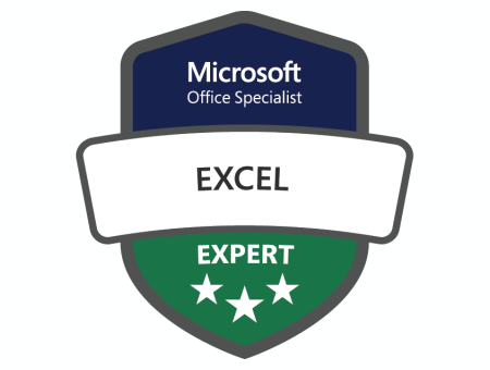 Microsoft Excel Expert Logo